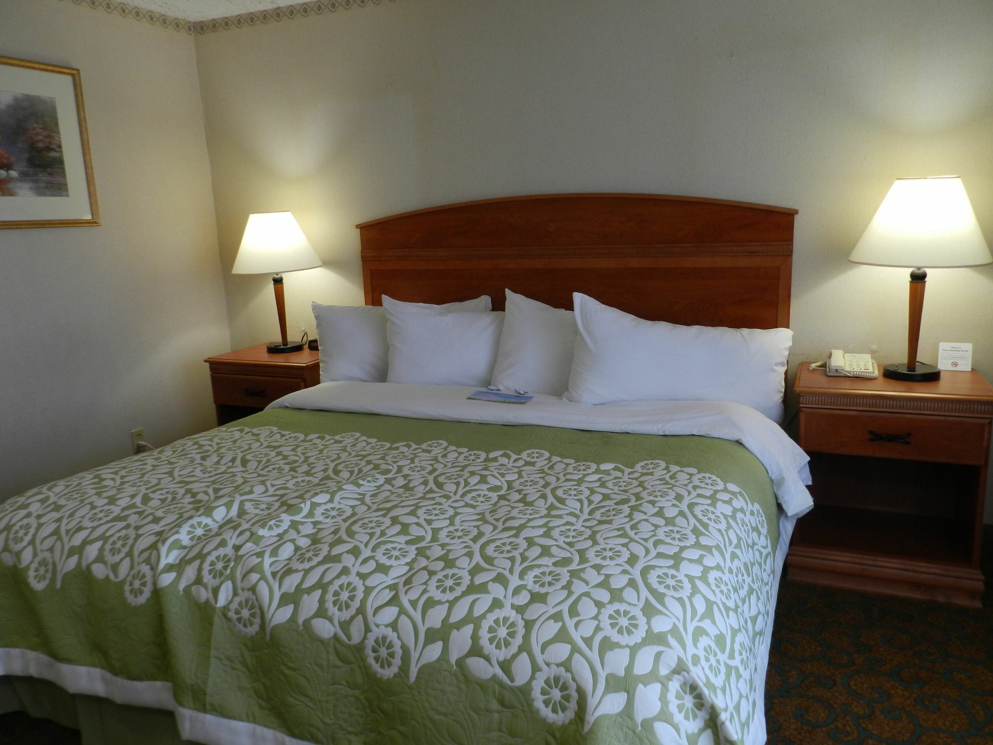 מלון Clarion Pointe Rhinelander Downtown מראה חיצוני תמונה